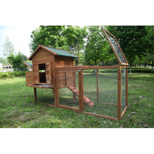Tucker Murphy Pet™ Zebediah 12 Square Feet Chicken Coop with Chicken